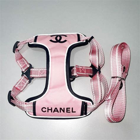 chanel leash|Chanel collar for dogs.